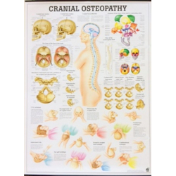 CRANIAL OSTEOPATHY - poszter