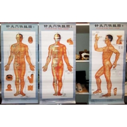 3 részes kínai akupunktúrás testposzter