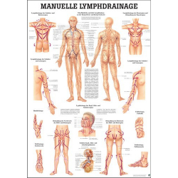 Kézi nyirokelvezetés - Poszter