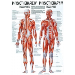 Fizioterápia IV. - poszter