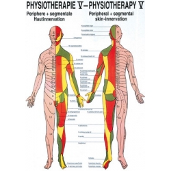 Fizioterápia V. - poszter