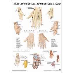 Kéz akupunktúra - poszter